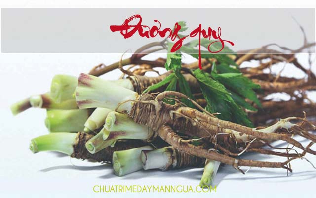 Thuốc đông y chữa bệnh mề đay rất tốt và an toàn