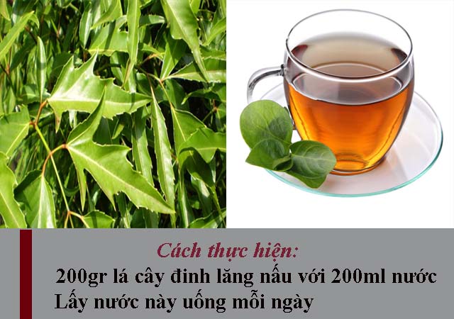 Chữa bệnh nổi mề đay mãn tính bằng cây đinh lăng