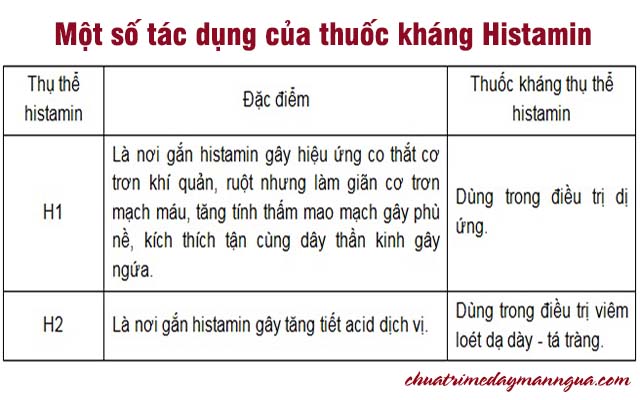 Dùng thuốc kháng Histamin điều trị nổi mề đay cần lưu ý những gì 