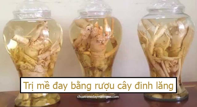 dùng rượu cây đinh lăng để trị nổi mề đay