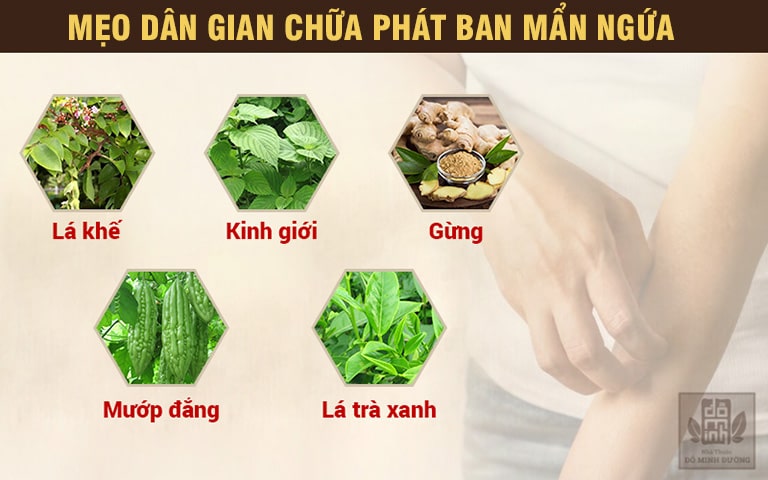 Bài thuốc dân gian thường sử dụng các thảo dược quen thuộc