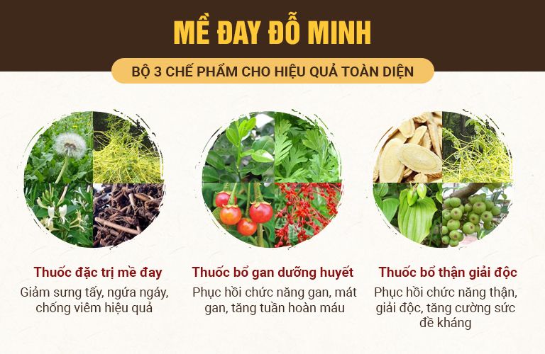 Liệu trình "3 trong 1" của bài thuốc gia truyền Mề đay Đỗ Minh chữa mề đay, mẩn ngứa cho người bệnh