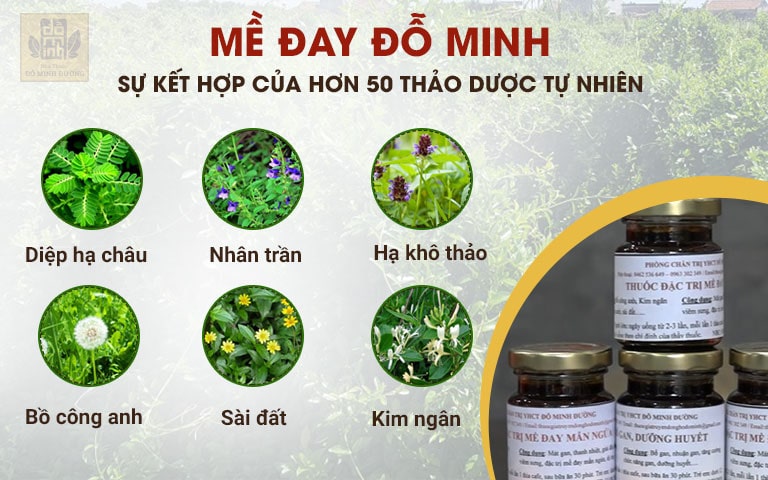 Thành phần thảo dược HỮU CƠ có mặt trong bài thuốc Mề đay Đỗ Minh